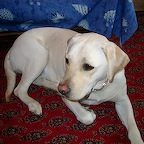 IMGP1372